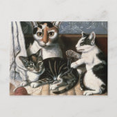 Kat en Kittens, c.1872-1883 Briefkaart (Voorkant)