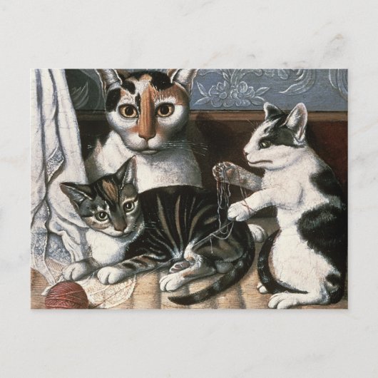 Kat en Kittens, c.1872-1883 Briefkaart (Voorkant)