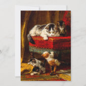 Kat en Kittens Spelen met Stoel Kaart (Voorkant)