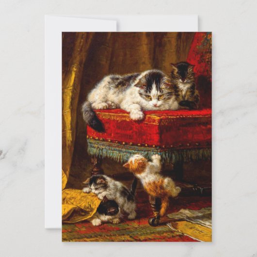 Kat en Kittens Spelen met Stoel Kaart (Voorkant)