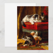 Kat en Kittens Spelen met Stoel Kaart (Voorkant / Achterkant)