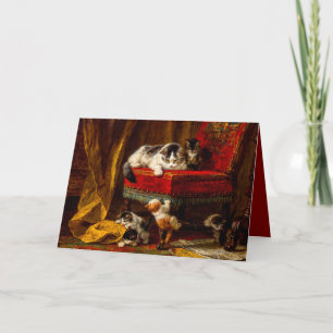 Kat en Kittens spelen met voorzitter