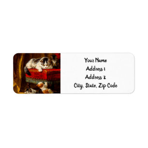 Kat en Kittens spelen met voorzitter Etiket