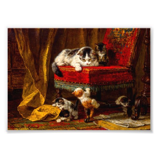 Kat en Kittens spelen met voorzitter Foto Afdruk (Voorkant)