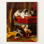 Kat en Kittens spelen met voorzitter Planner (Achterkant)