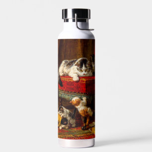 Kat en Kittens spelen met voorzitter Waterfles