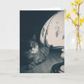 Kat- en lampgeluidfoto kaart (Gele Bloem)