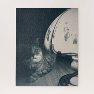 Kat- en lampgeluidfoto legpuzzel