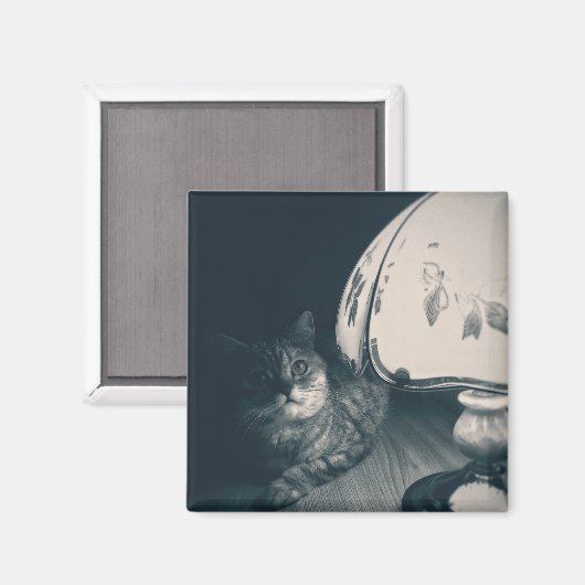 Kat- en lampgeluidfoto magneet (Voorkant / Achterkant)