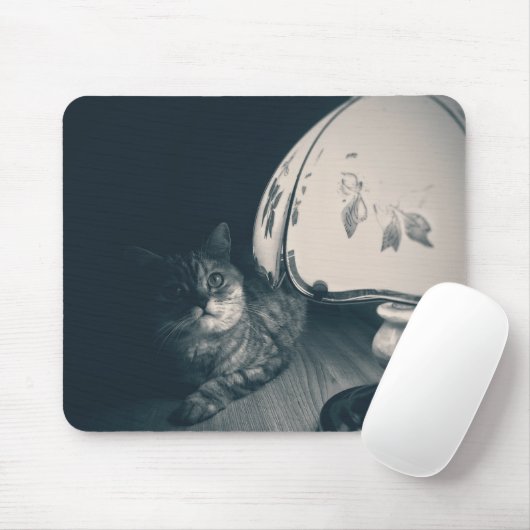 Kat- en lampgeluidfoto muismat (Met muis)