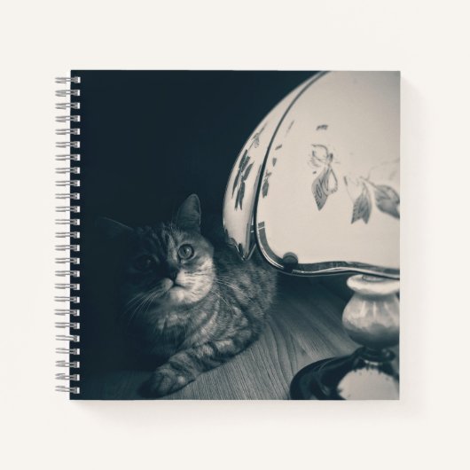 Kat- en lampgeluidfoto notitieboek (Voorkant)