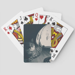 Kat- en lampgeluidfoto pokerkaarten