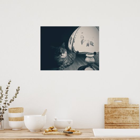 Kat- en lampgeluidfoto poster (Keuken)