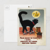  kat en maan briefkaart (Voorkant / Achterkant)