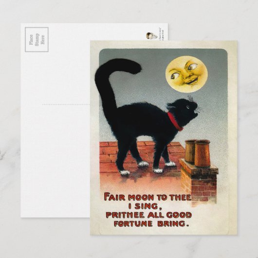  kat en maan briefkaart (Voorkant / Achterkant)