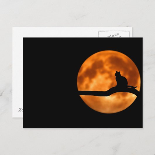 Kat en maan briefkaart (Voorkant / Achterkant)