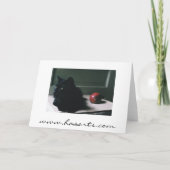 Kat- en mangokaart kaart (Achterkant)