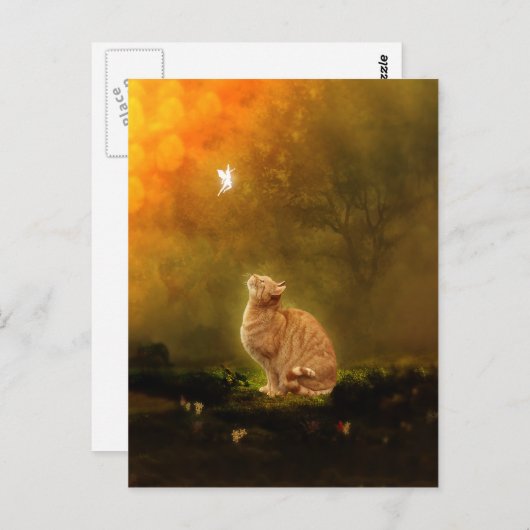 Kat en melk briefkaart (Voorkant / Achterkant)