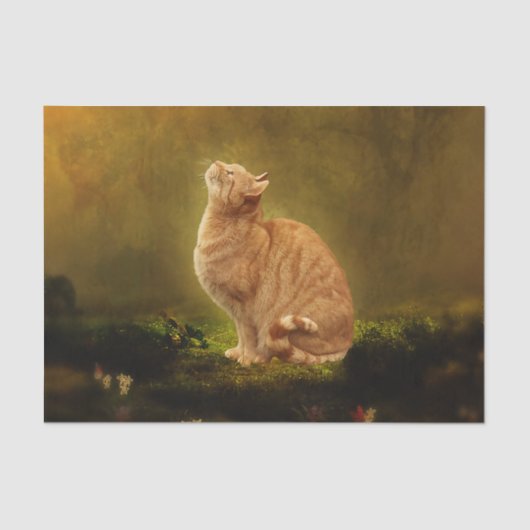 Kat en melk tissuepapier (Voorkant)