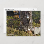 Kat en Mousey delen een maaltijd Briefkaart (Voorkant / Achterkant)