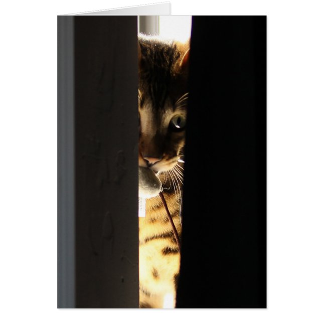 Kat en muis (Voorkant)