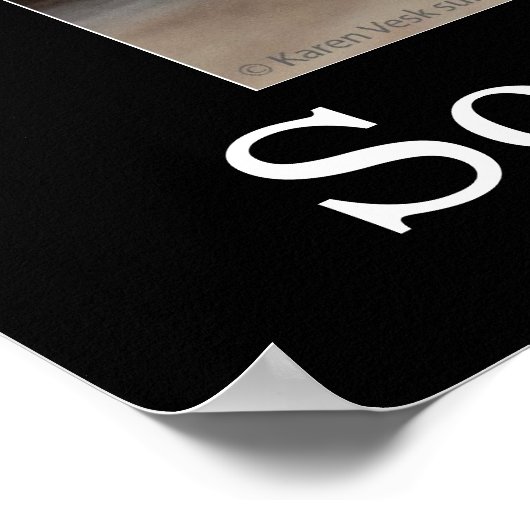 Kat en muis Demotivationeel Poster (Hoek)