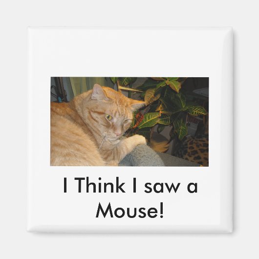 Kat en muis Humor Magneet (Voorkant)