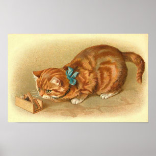 "Kat en muis" Poster