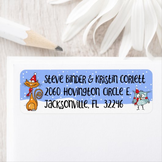 Kat en Owl KNS Kerstmis Etiket (Insitu)