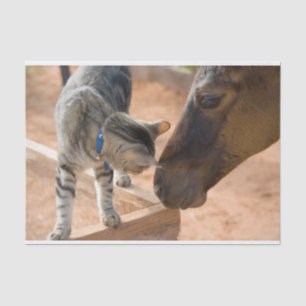 Kat- en paardenvrienden tissuepapier