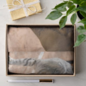 Kat- en paardenvrienden tissuepapier (Geschenk)