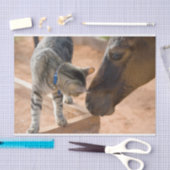 Kat- en paardenvrienden tissuepapier (Craft)