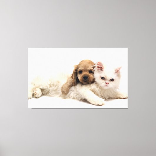Kat en papaver canvas afdruk (Voorkant)