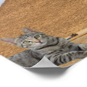 Kat en Piramide. Poster (Hoek)