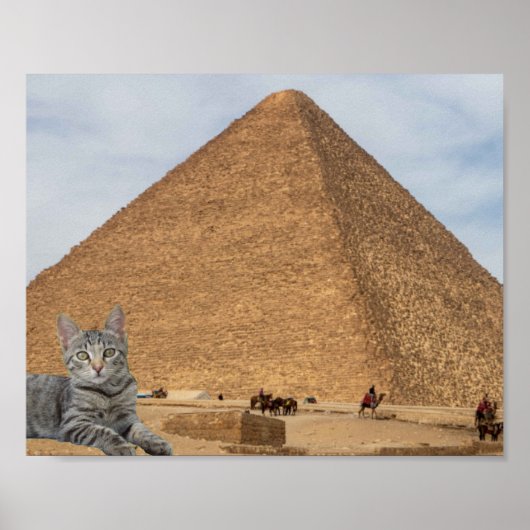 Kat en Piramide. Poster (Voorkant)