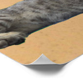 Kat en Piramide. Poster (Hoek)