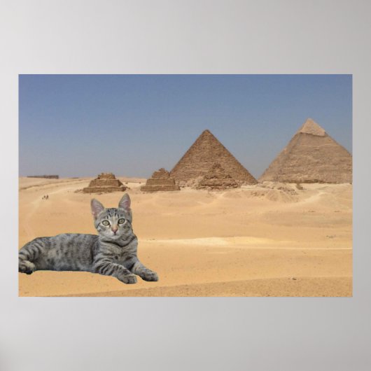 Kat en Piramide. Poster (Voorkant)