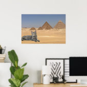 Kat en Piramide. Poster (Thuiskantoor)