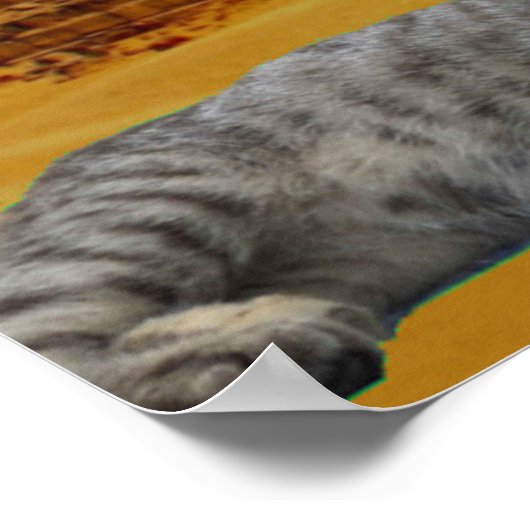 Kat en piramide. poster (Hoek)