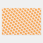 Kat- en pootpapierset van 3 inpakpapier vel (Voorkant 3)