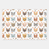 Kat- en pootpapierset van 3 inpakpapier vel (Voorkant)