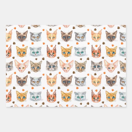 Kat- en pootpapierset van 3 inpakpapier vel (Voorkant)