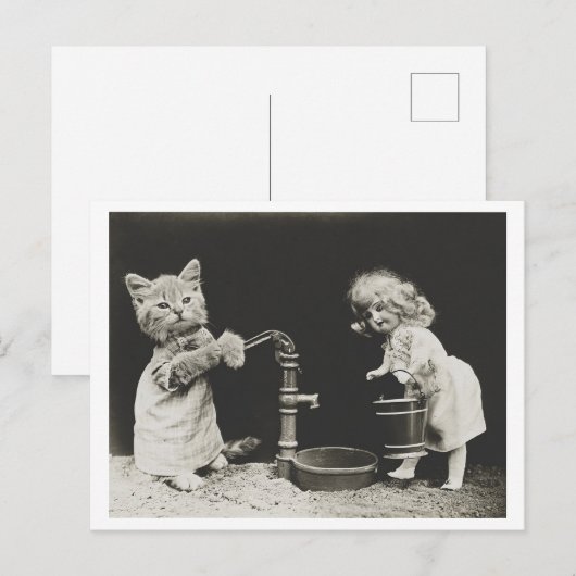 Kat en pop bij waterpomp  Oddity Briefkaart (Voorkant / Achterkant)