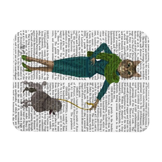 Kat en porselein magneet (Horizontaal)