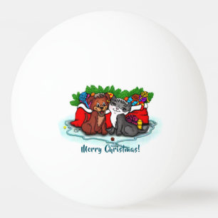 Kat en puppy, Happy XMas Pingpongbal