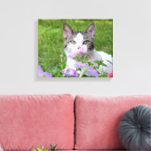 Kat en roze petunias canvas afdruk (Insitu (Woonkamer))