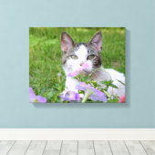 Kat en roze petunias canvas afdruk (Insitu (Houten vloer))