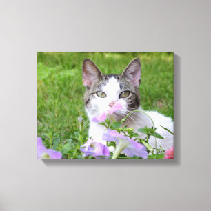 Kat en roze petunias canvas afdruk