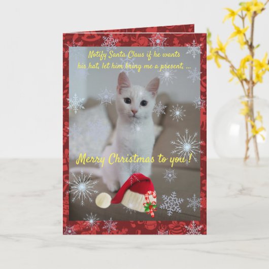 Kat en Santa Kaart (Gele Bloem)