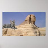 Kat en Sfinx. Poster (Voorkant)